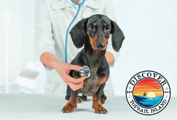 Camp Lejeune Veterinary Clinic