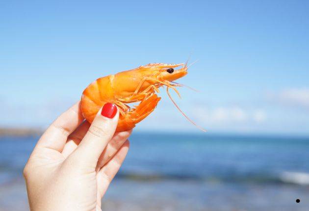 54th Annual Sneads Ferry Shrimp Festival