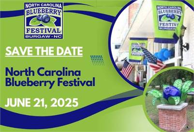 2025 North Carolina Blueberry Festival