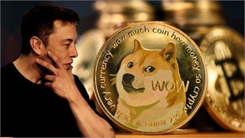 Dogecoin: The Working Class Investor’s Path to Financial Freedom?